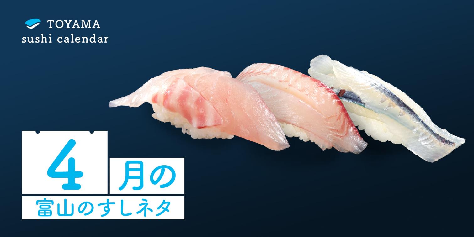 【４月｜富山のすしネタ】活気づく春の富山湾！ 釣り人までも魅了する魚も。マダイ、クロダイ、サヨリ。-1