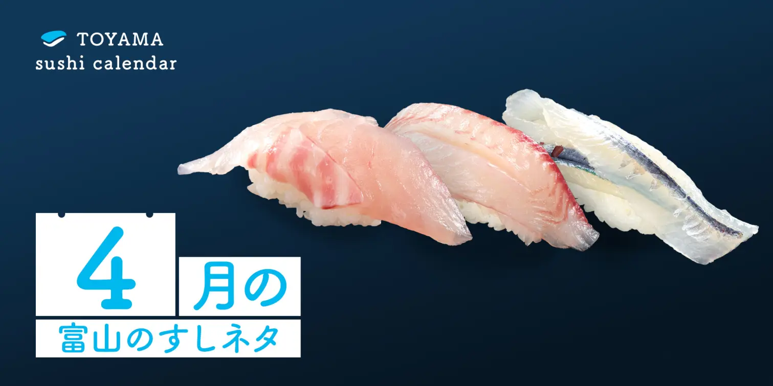 【４月｜富山のすしネタ】活気づく春の富山湾！ 釣り人までも魅了する魚も。マダイ、クロダイ、サヨリ。-1