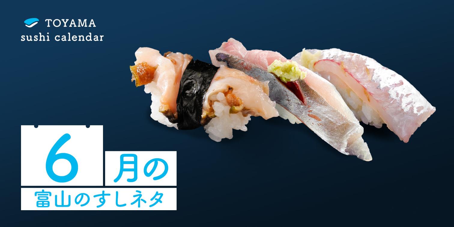【６月｜富山のすしネタ】夏のはじまり！　富山湾の豊かな海の幸。サザエ、マアジ、トビウオ。-1