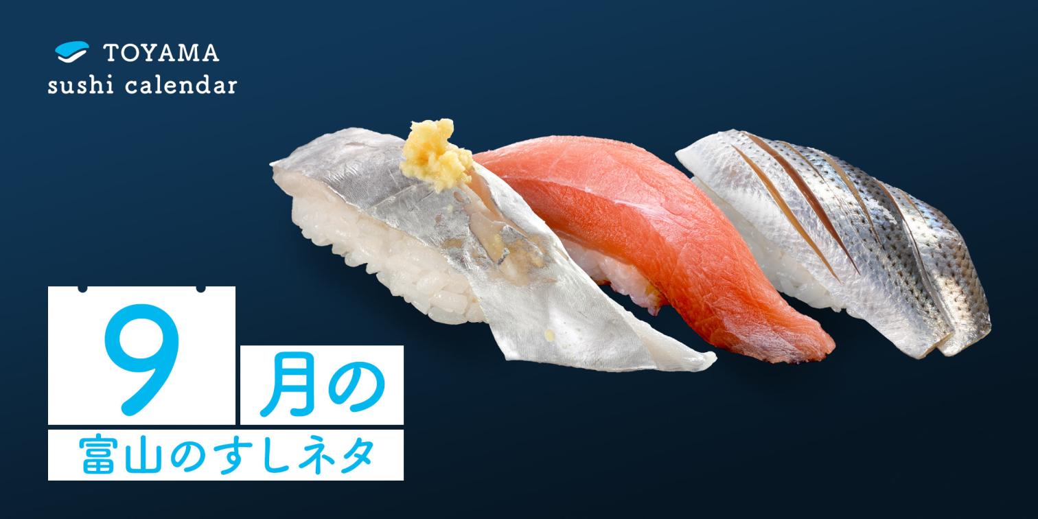 【９月｜富山のすしネタ】富山湾で見つける、おいしい秋。タチウオ、カジキマグロ、コハダ。-1