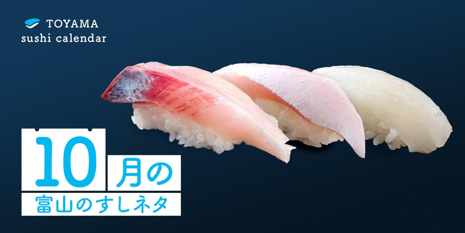 【10月｜富山のすしネタ】深まる秋でおいしくなる富山湾。フクラギ、カンパチ、アオリイカ。-1