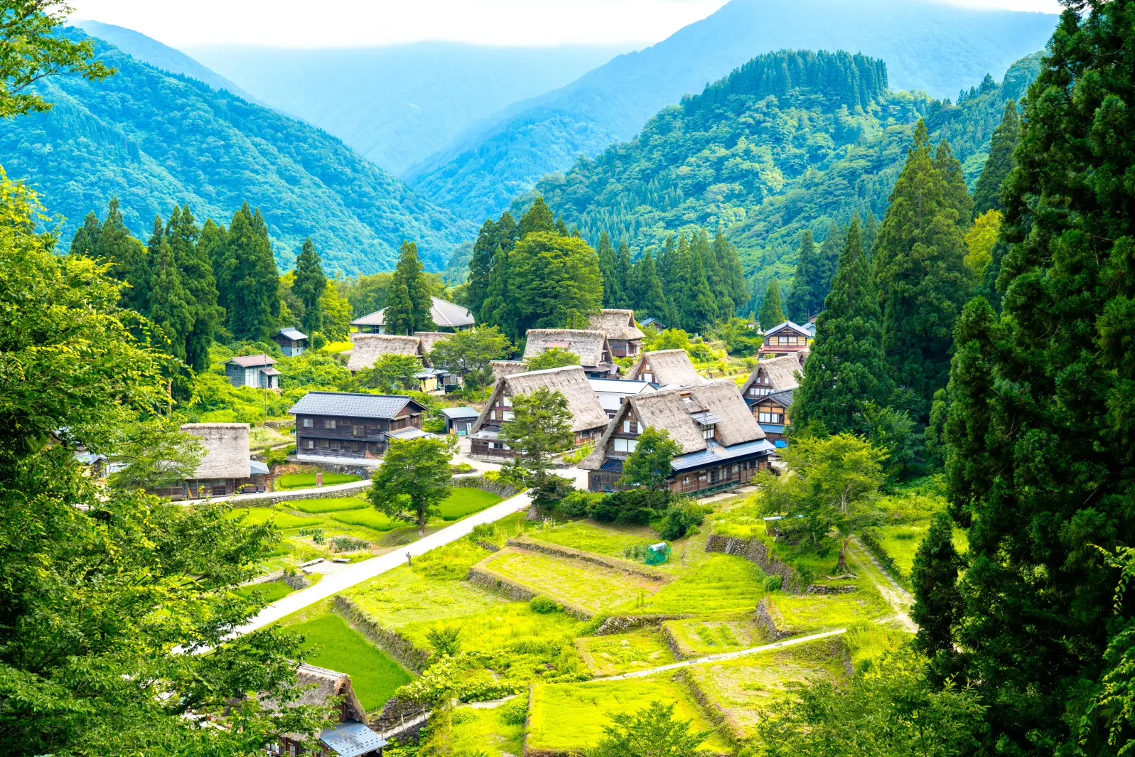 A Two-Day Immersive Stay in Gokayama: Where Culture, Craft, and Cuisine Endure-1