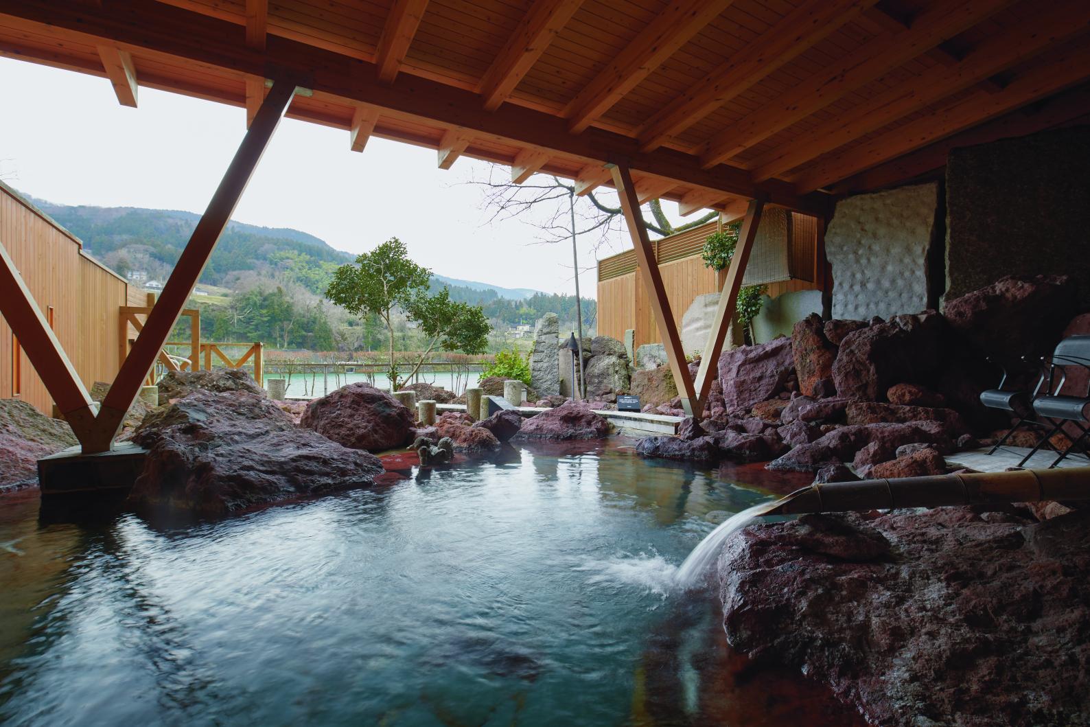 Stay and Savor Toyama: A Curated Guide to Hotels and Ryokan-1