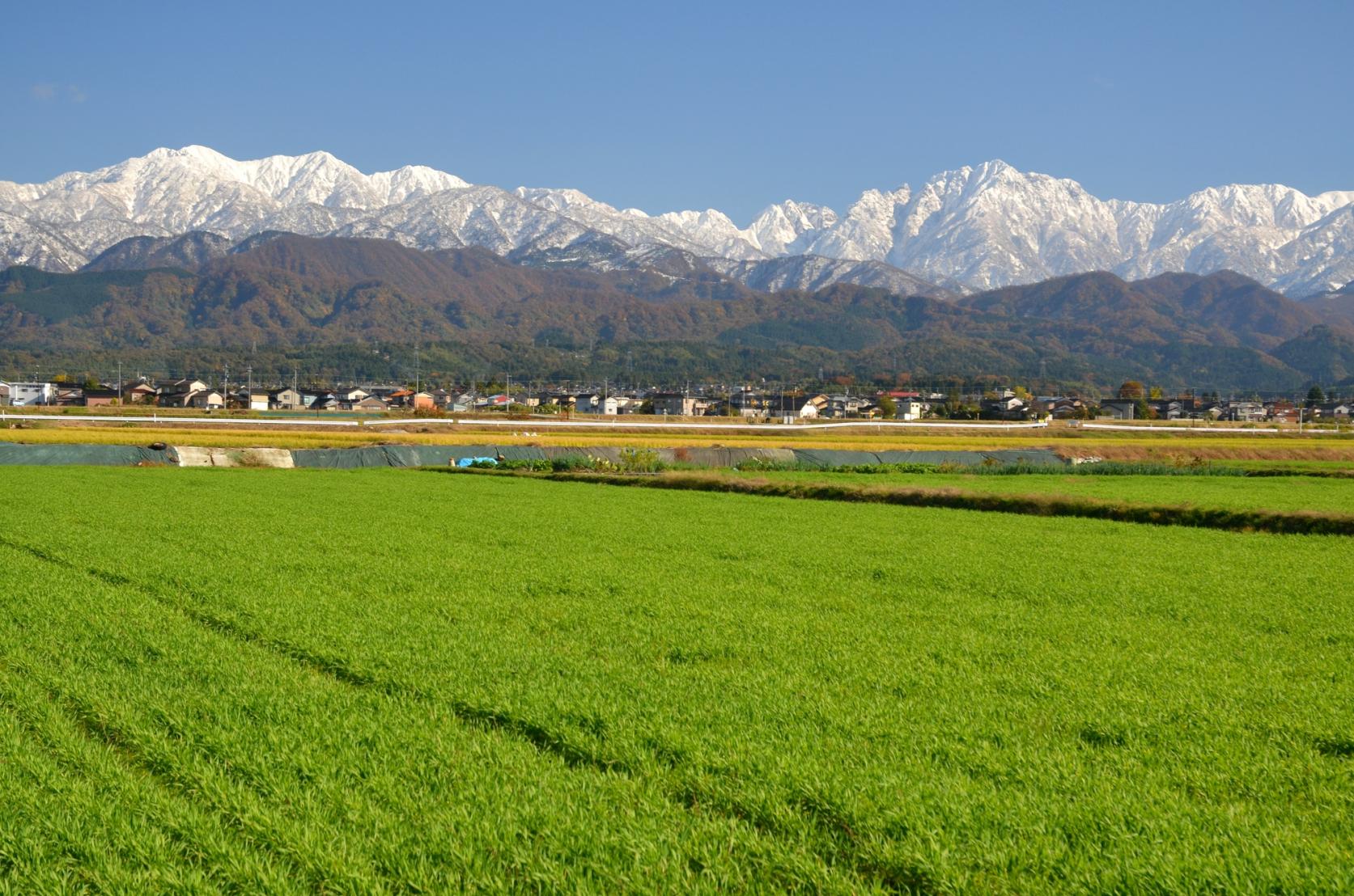 富山の旬を味わうお出かけスポット〇〇選｜人気の農家ランチ・カフェ・ワイナリー・直売所まとめ