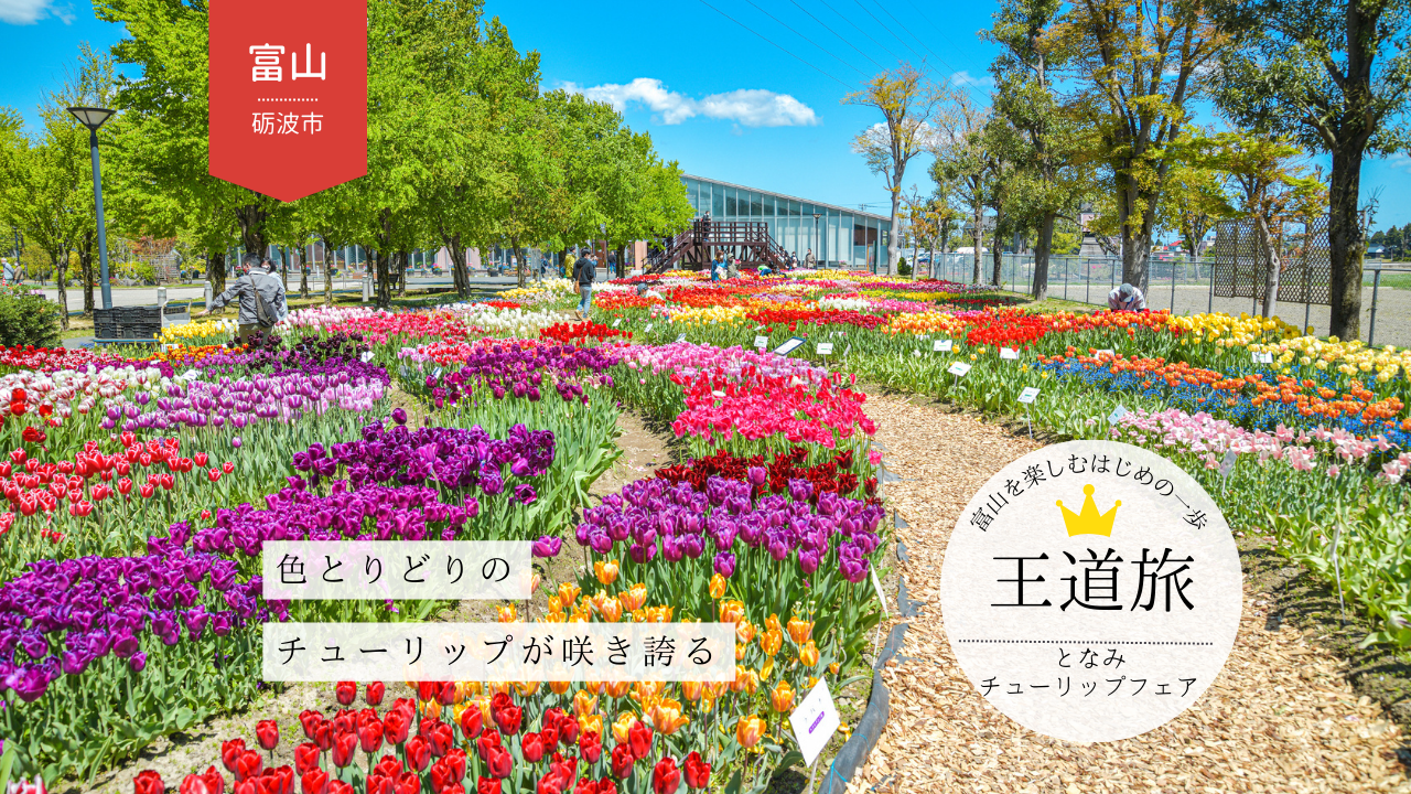 となみチューリップフェアと周辺観光モデルコース｜庄川・散居村も巡る砺波ドライブ旅-1