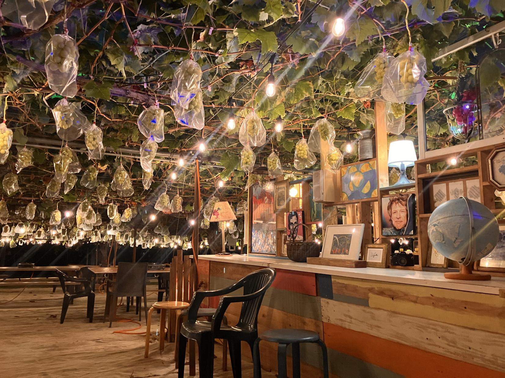 やまふじぶどう園完全ガイド｜ぶどう狩り体験からワイン・お土産情報までご紹介！