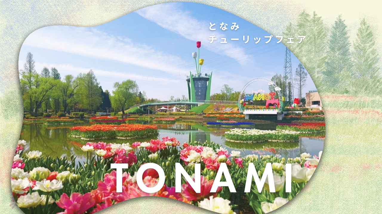 2026となみチューリップフェア完全ガイド｜見どころ・アクセス・周辺観光まで-1