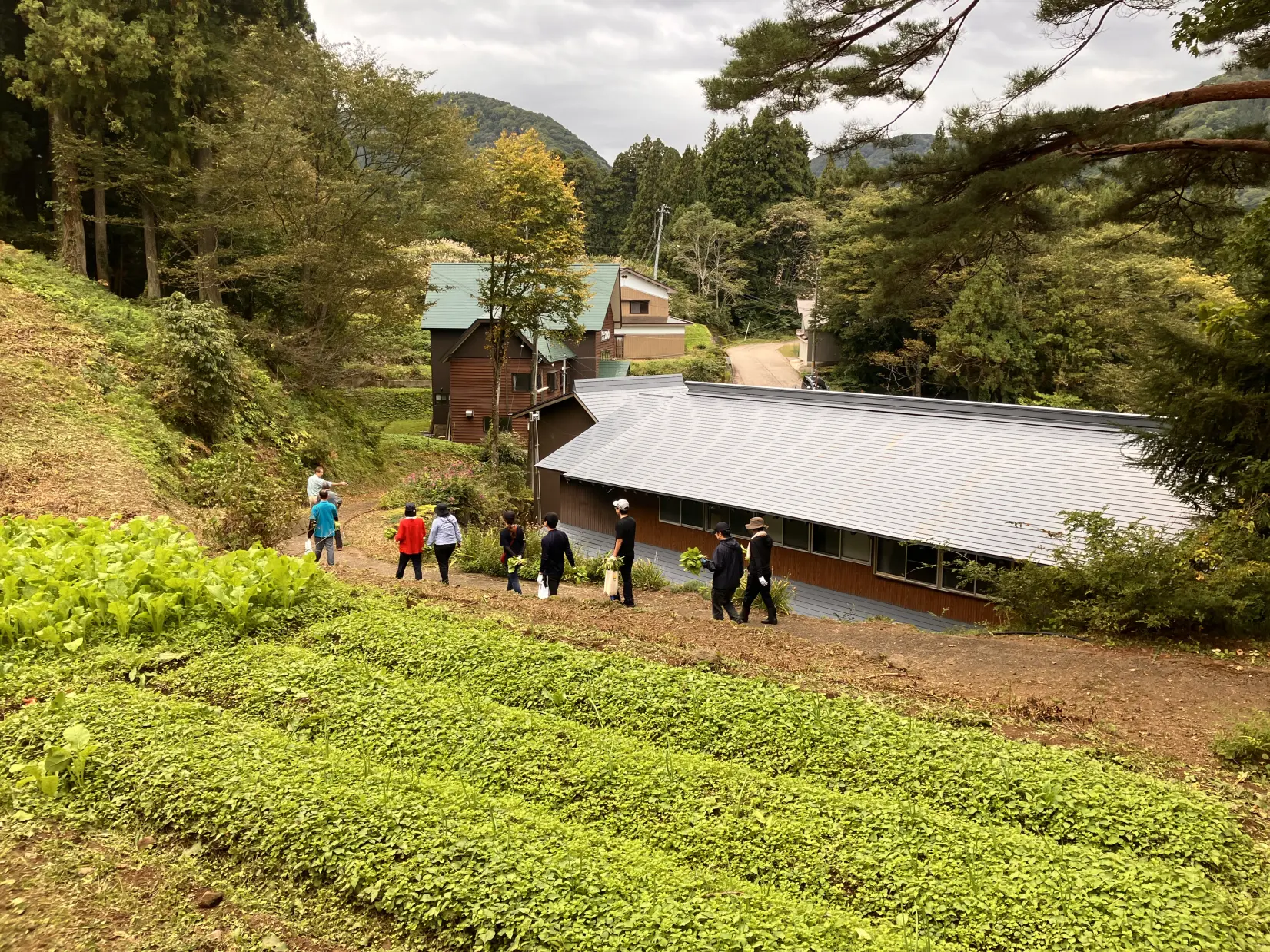 移住検討者も注目！富山の海と山の自然を気軽に宿泊体験｜とやま農泊ツアー体験記