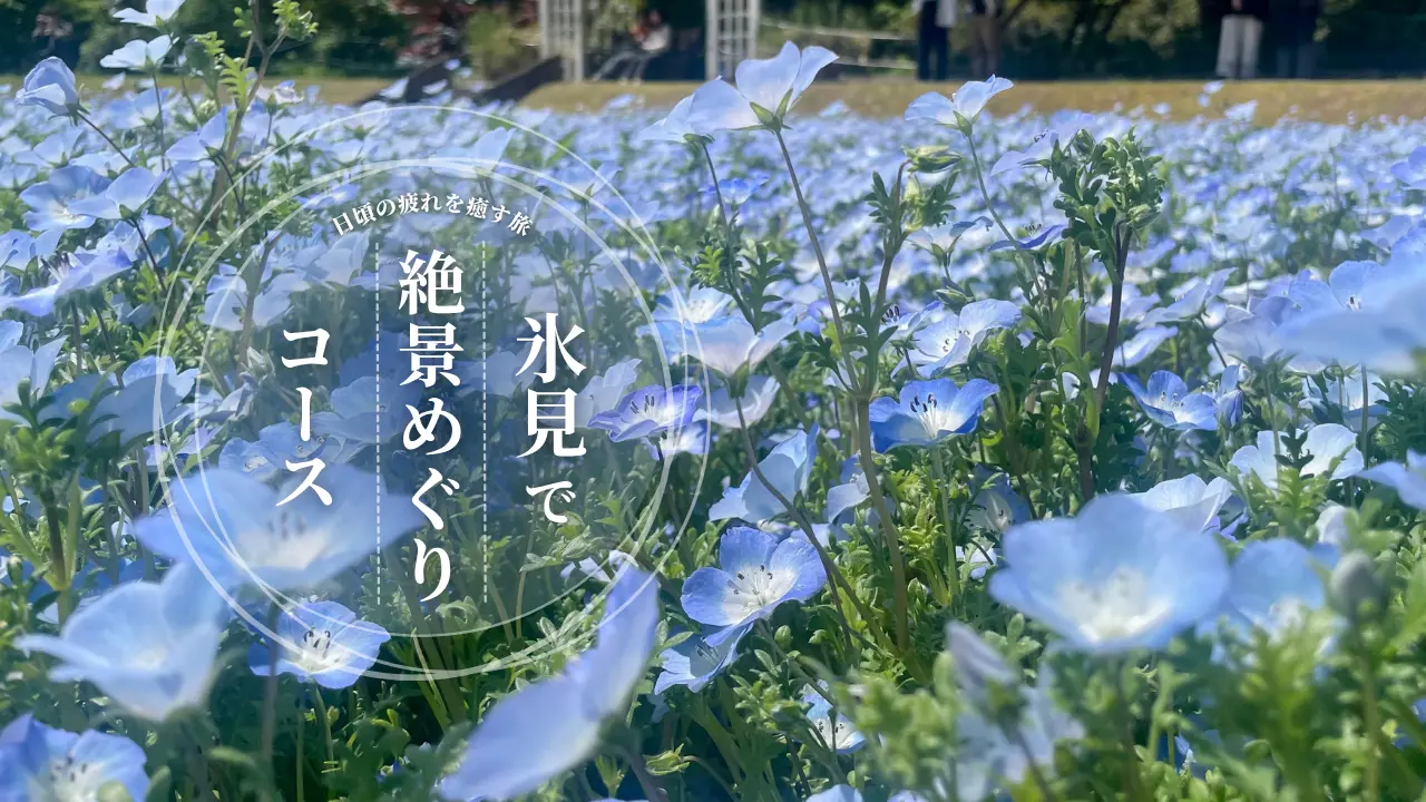 【５月の富山旅】氷見で北陸最大級のネモフィラと藤の絶景をめぐる春旅