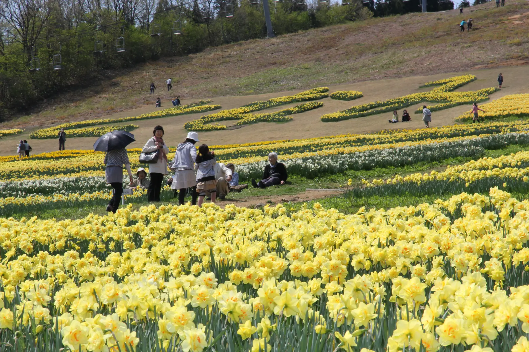 せんだん山水仙そば祭り-1