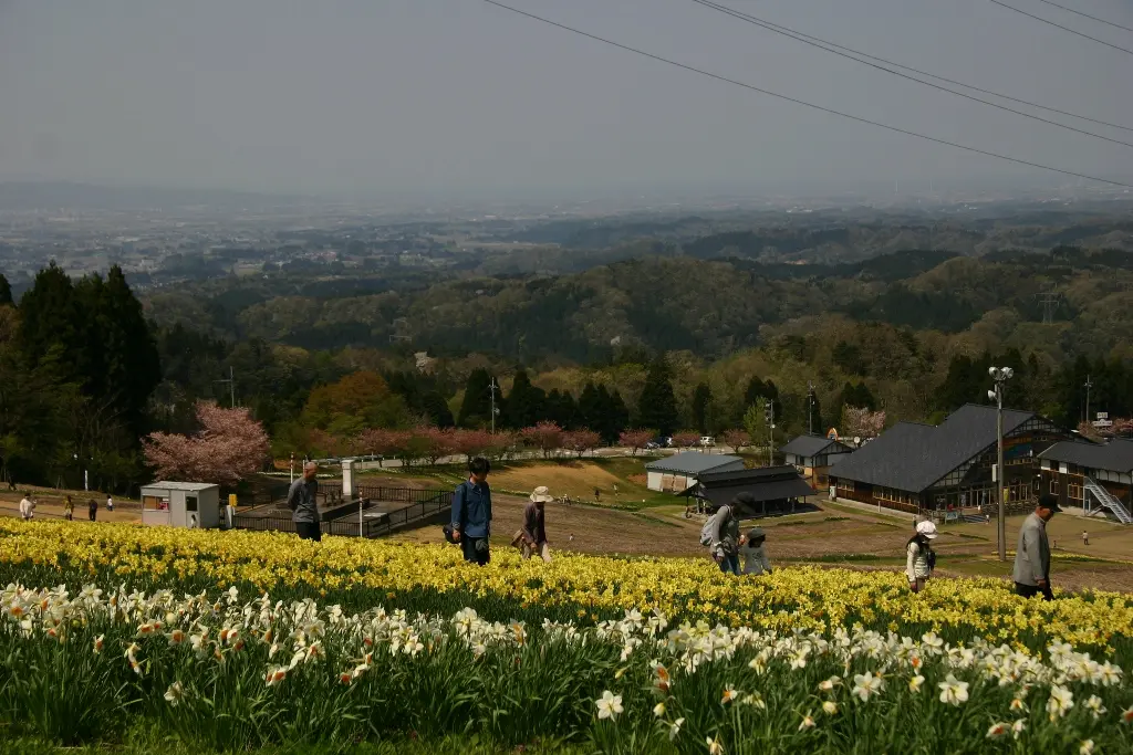 せんだん山水仙そば祭り-5