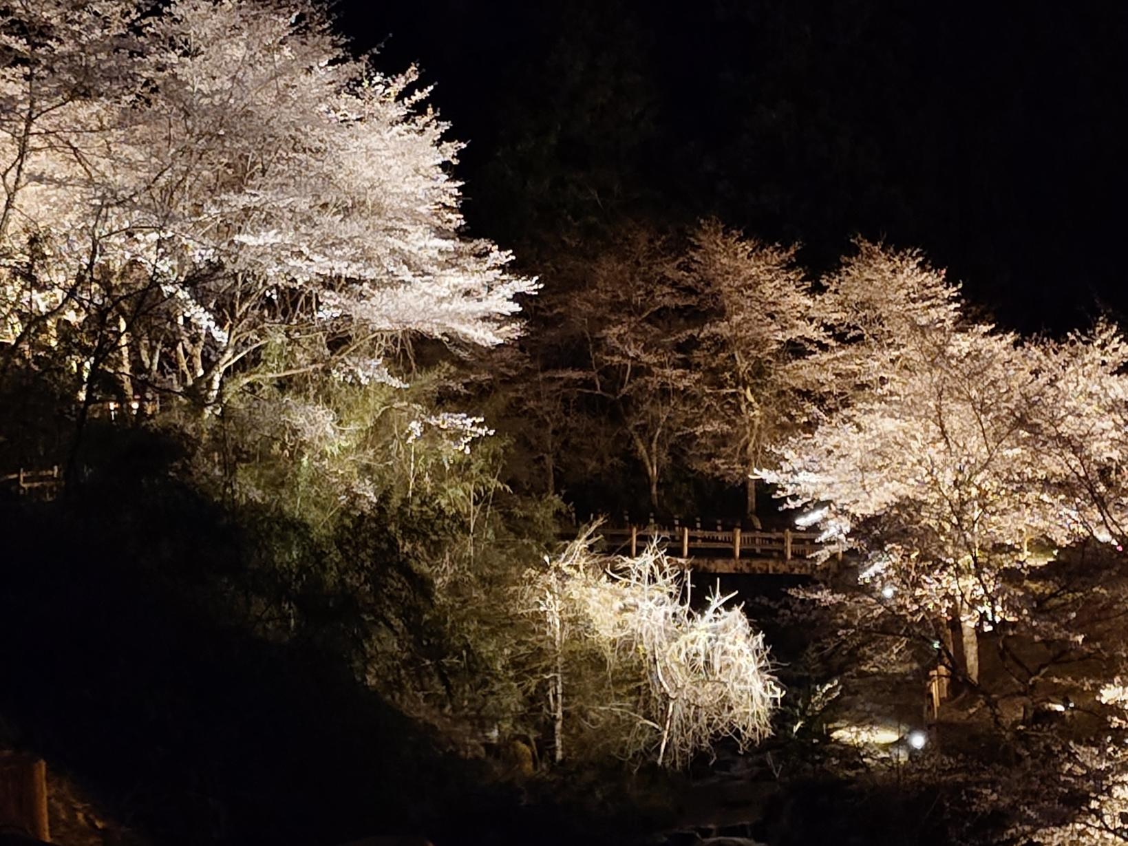 大岩川親水公園-3