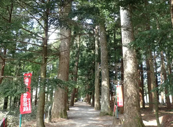 眼目園地-1