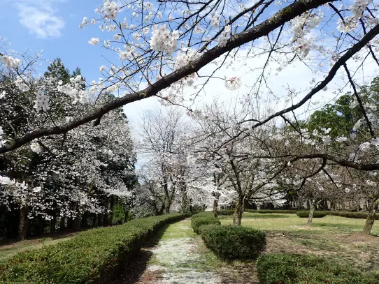 眼目園地-0