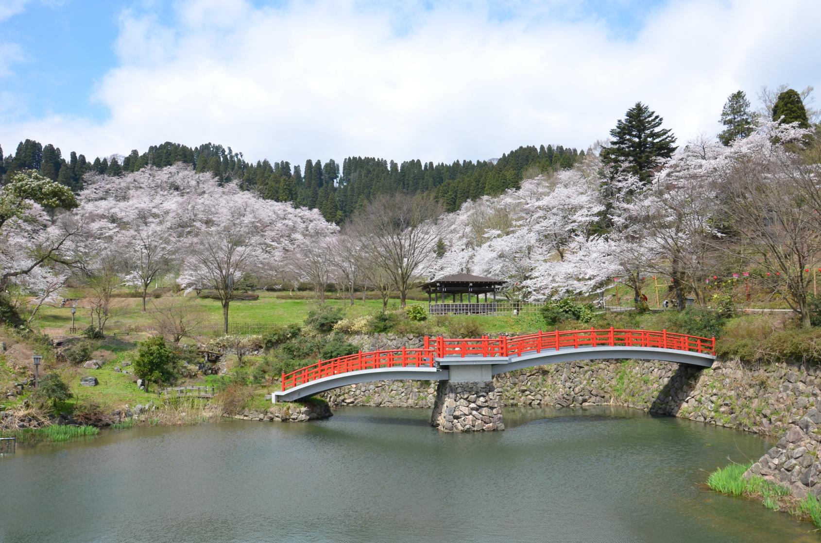 600本のソメイヨシノが花開く桜の名所