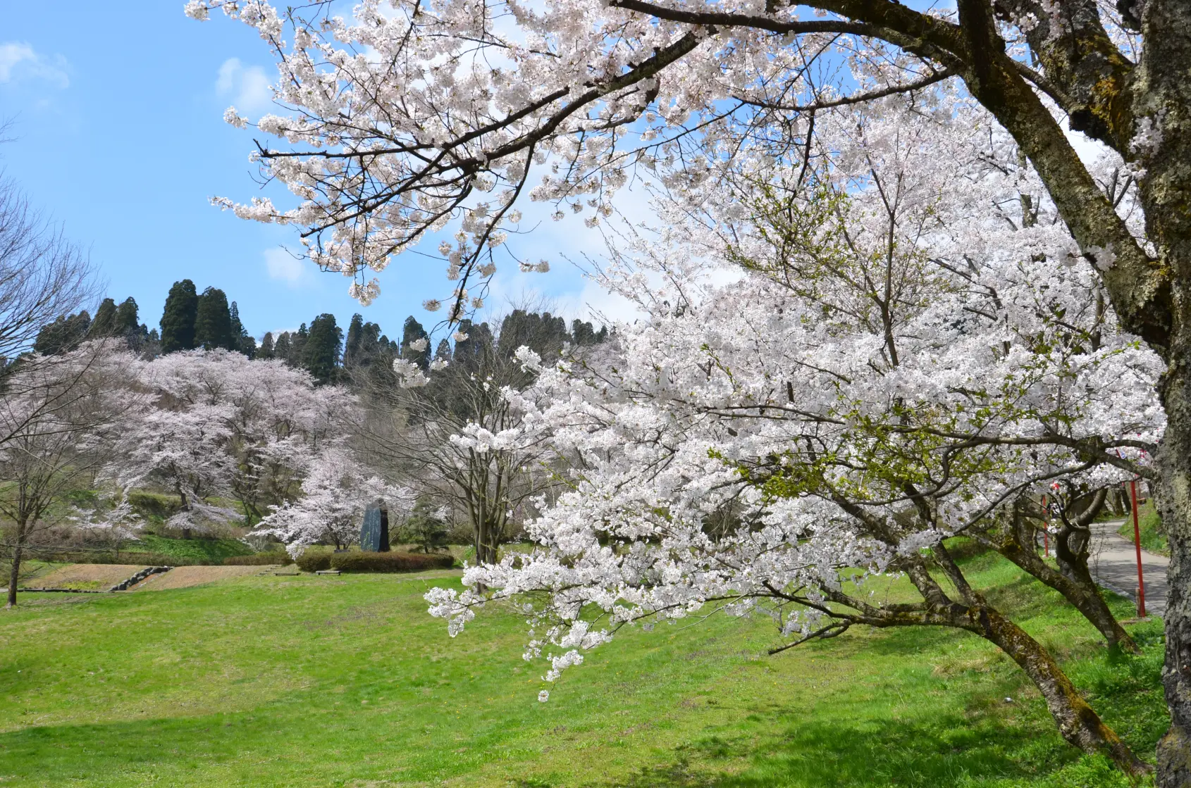 城山公園(小矢部市）-1