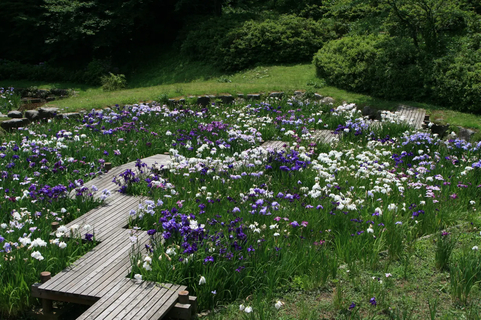 城山公園(小矢部市）-3