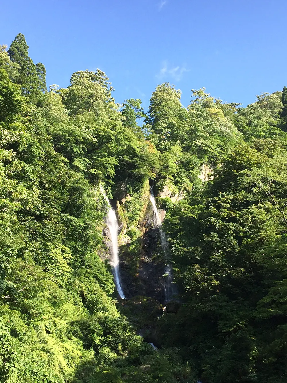 つくばね森林公園-3