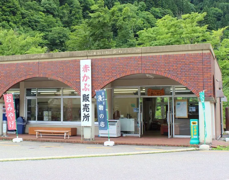 まんさく-1