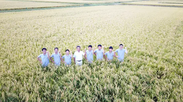 丸米製菓-2