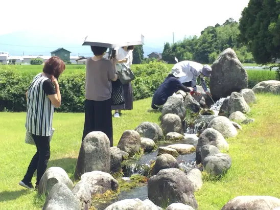 沢スギガイド（入善町）-4