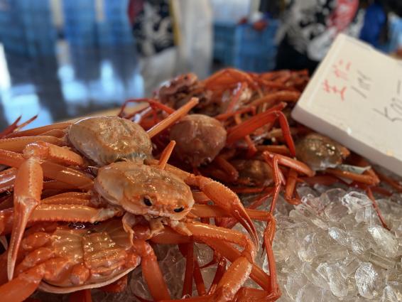 2025しんみなと漁港復興朝市-2