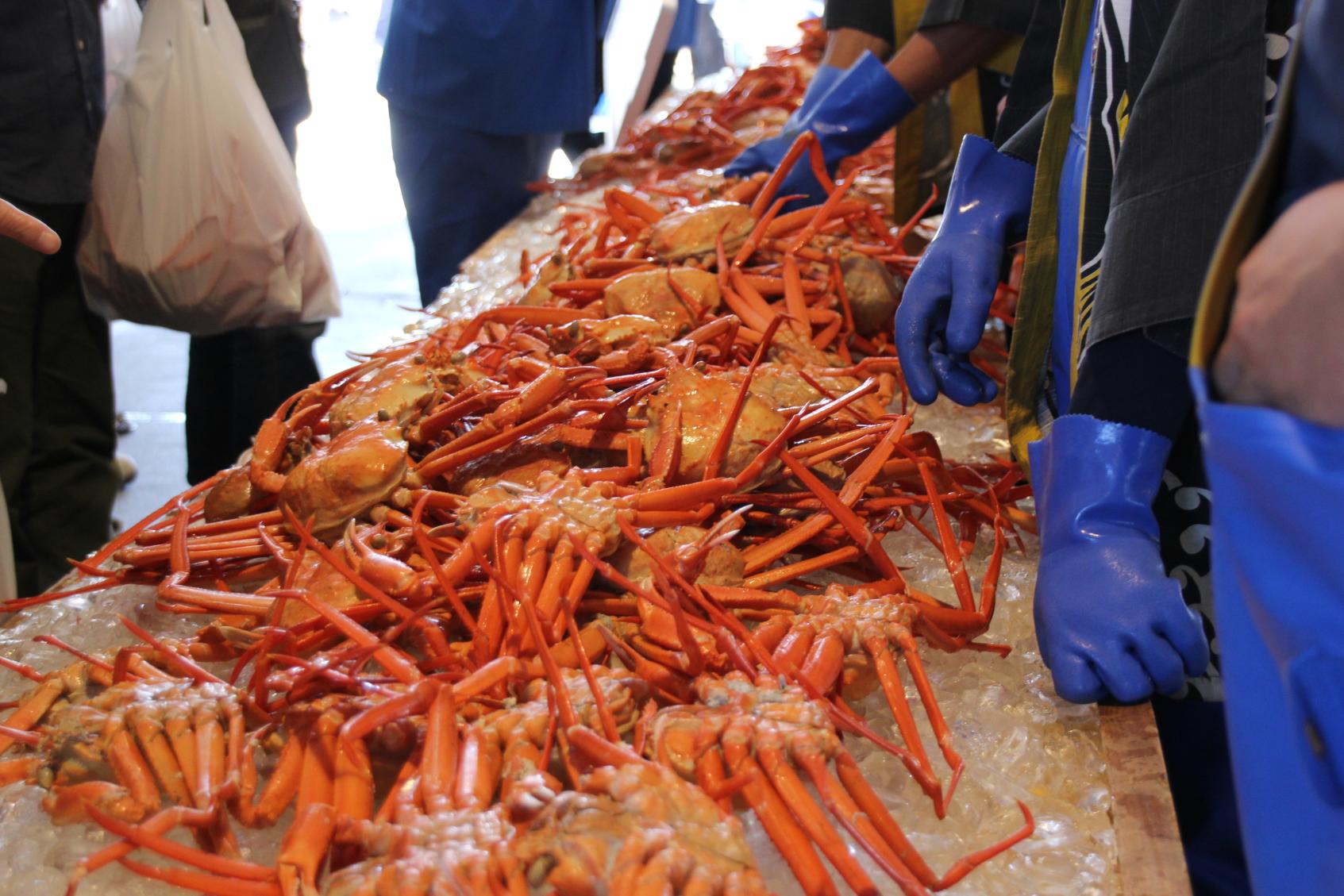 2025しんみなと漁港復興朝市-1