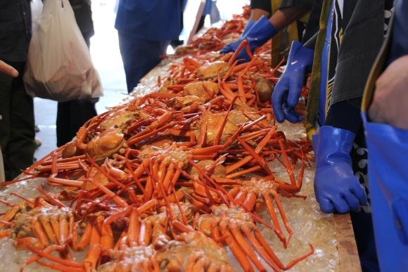 2025しんみなと漁港復興朝市-0