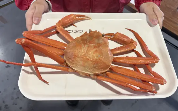 魚津 蟹騒動-3