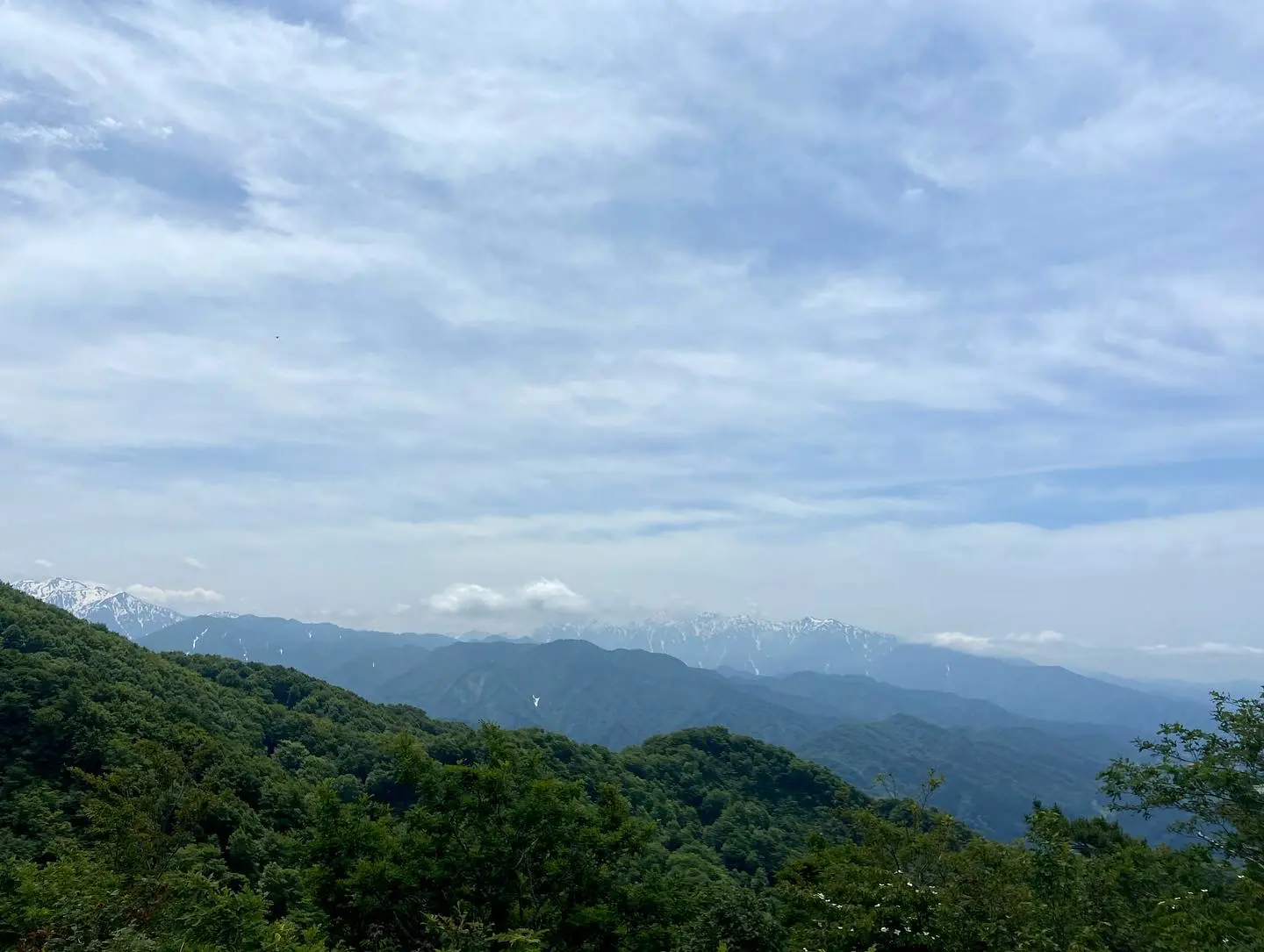 南保富士-6