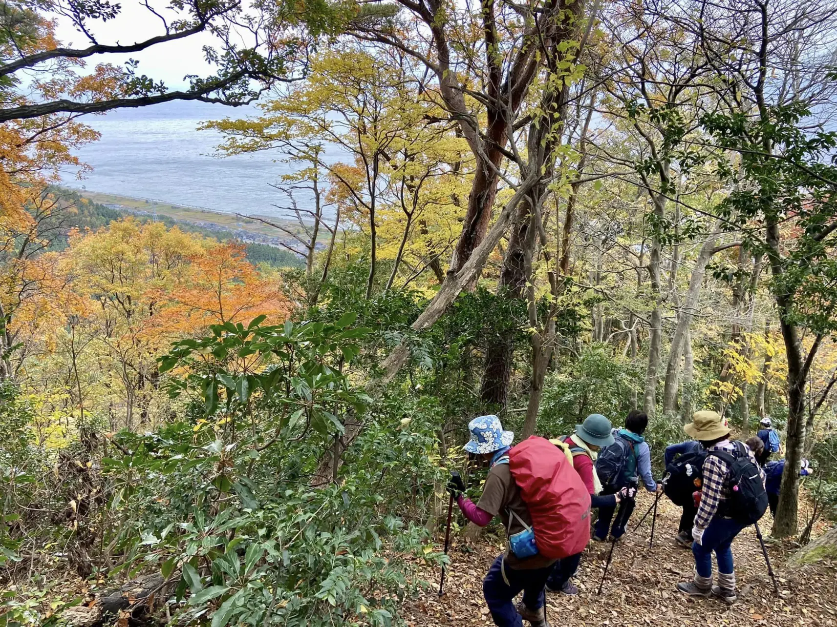 大鷲山-6