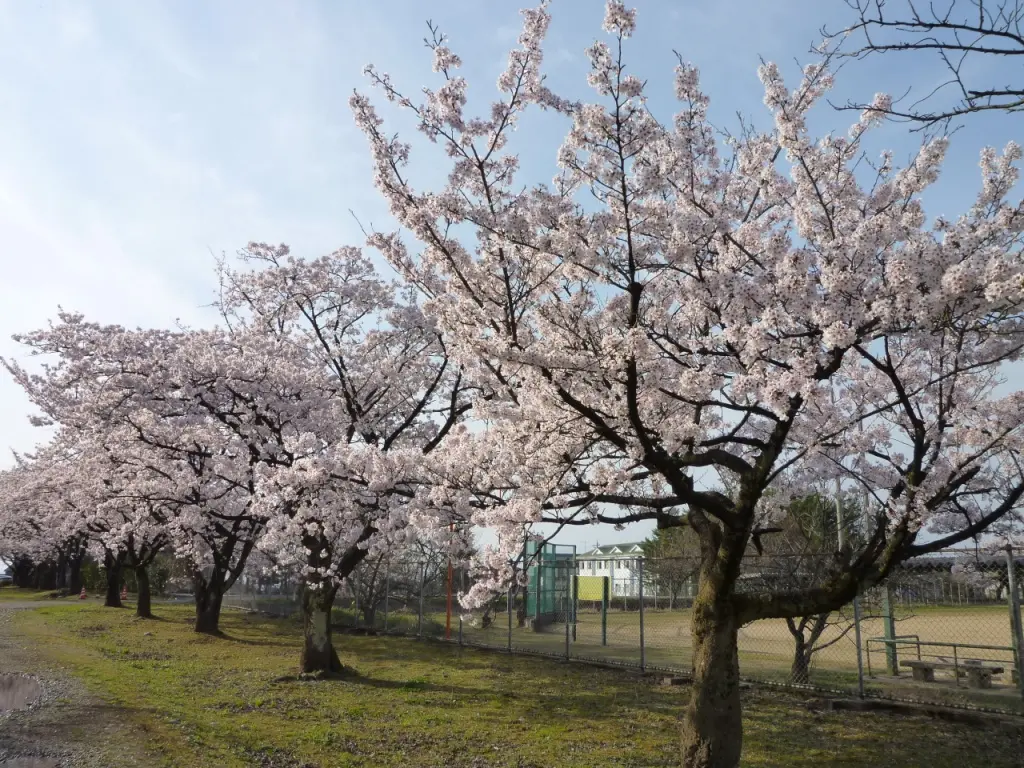 新川学びの森天神山交流館-2