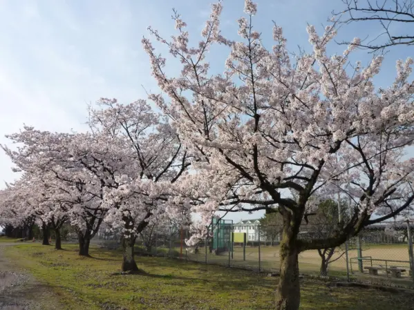 新川学びの森天神山交流館-2