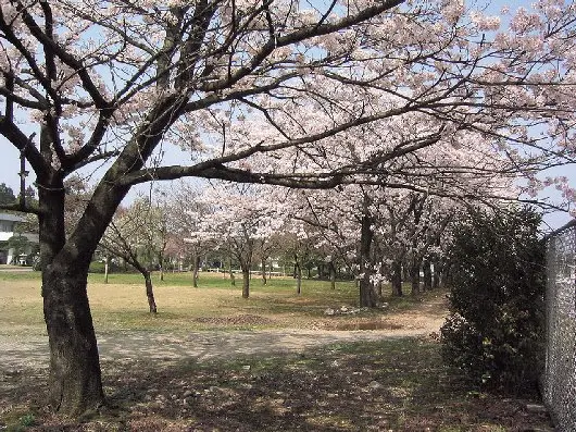 新川学びの森天神山交流館-1