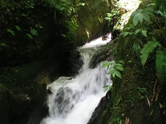 千巌渓-2