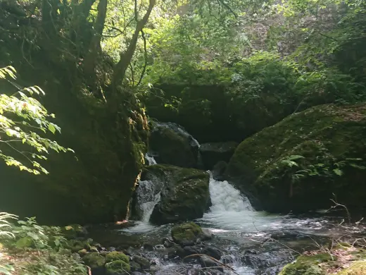 千巌渓-3