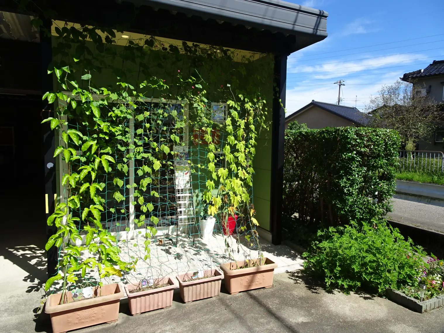 ごしょカフェ-8