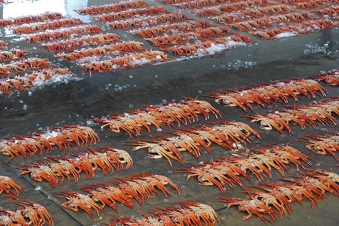Noon Auction and Red Snow Crab Tasting in Kanigoya-1