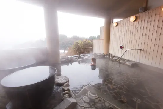 九殿浜温泉　ひみのはな-2