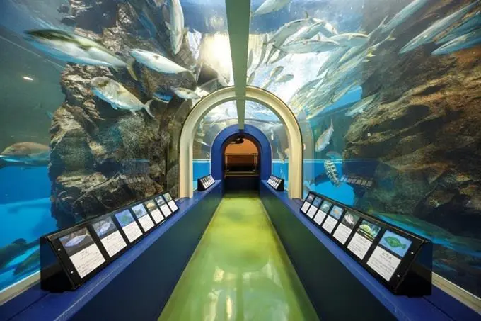 終了）魚津水族館クラウドファンディング | イベント | 【公式】富山県