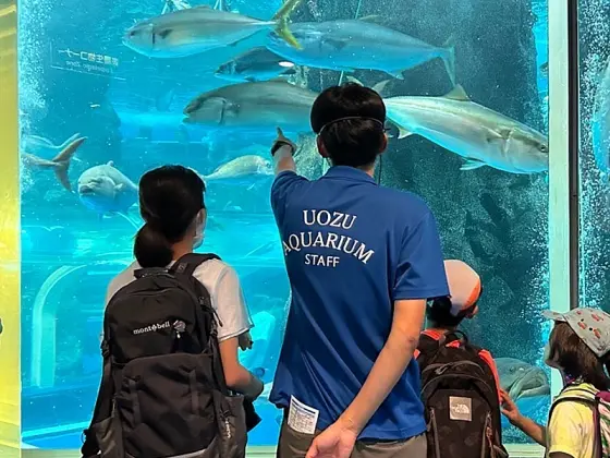 終了）魚津水族館クラウドファンディング | イベント | 【公式】富山県