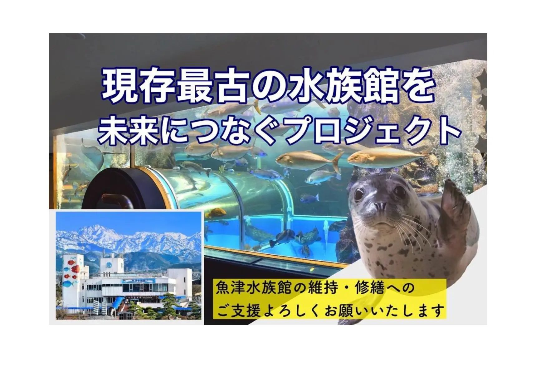 （終了）魚津水族館クラウドファンディング-0