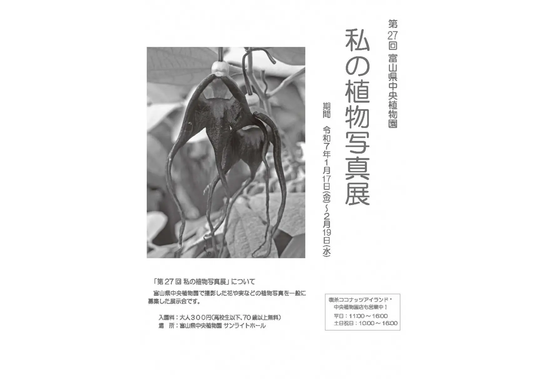 第27回　私の植物写真展-0