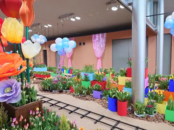 春を呼ぶチューリップ展-2