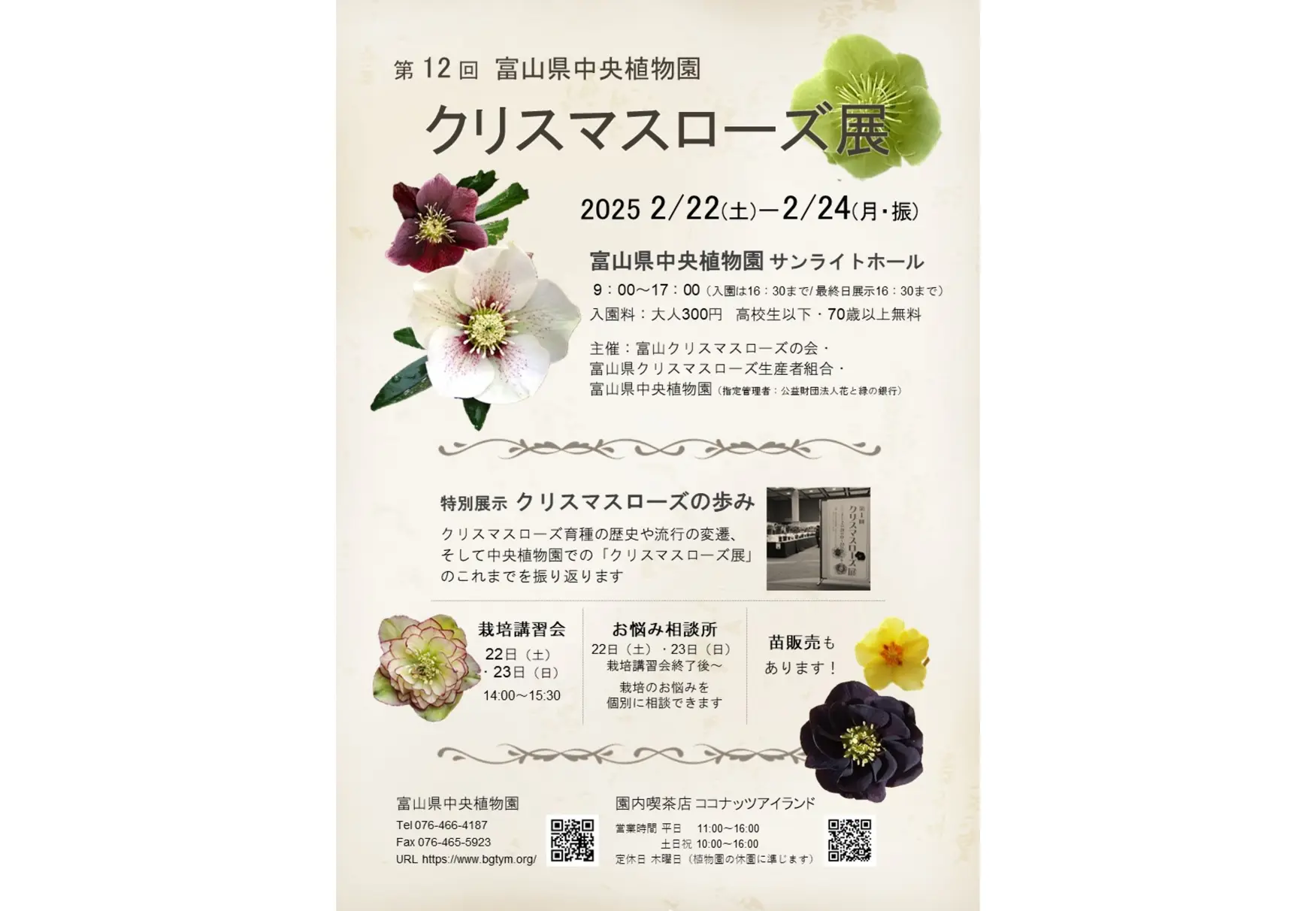 第12回クリスマスローズ展-0