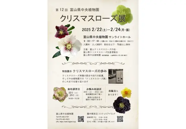 第12回クリスマスローズ展-0