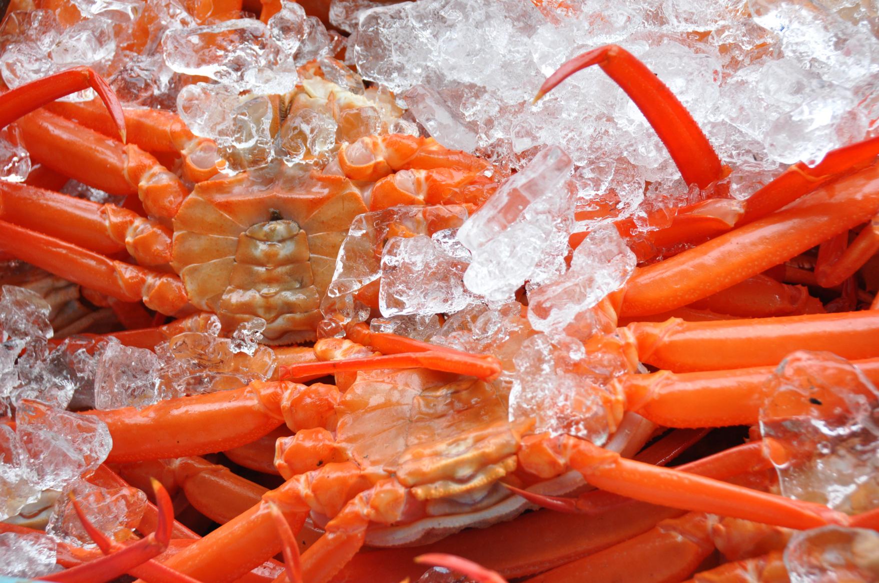 魚の駅「生地」　とれたて館　できたて館-5