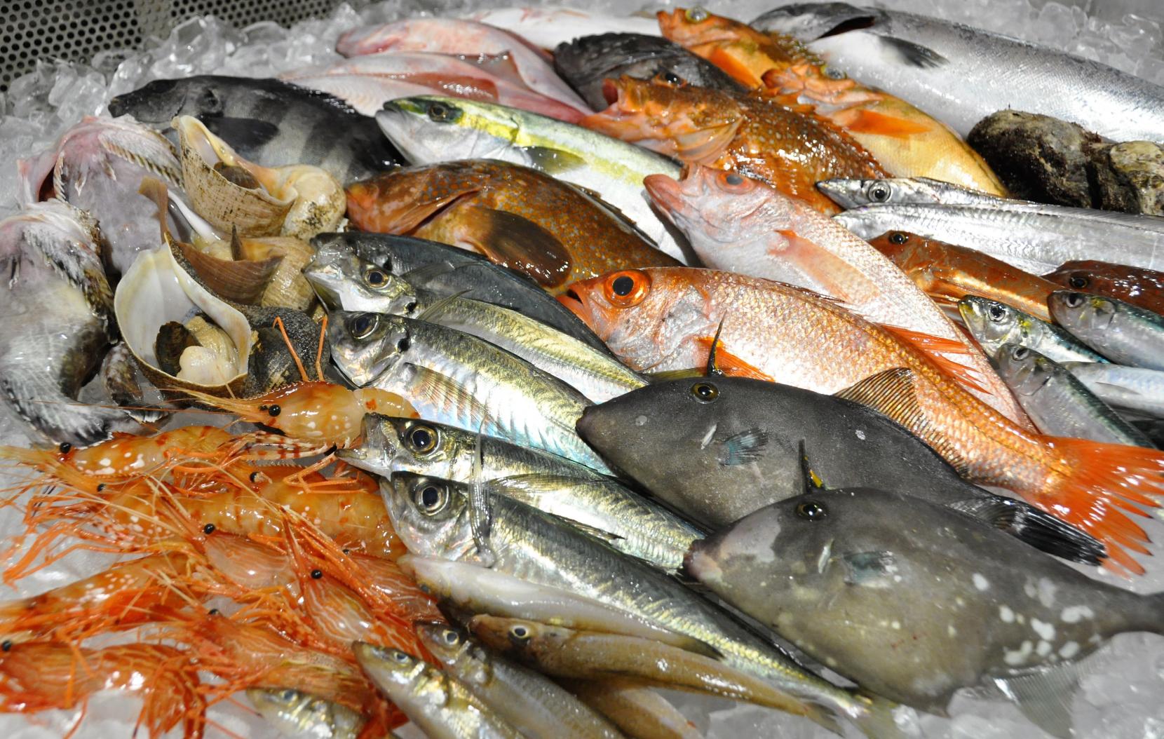 魚の駅「生地」　とれたて館　できたて館-6