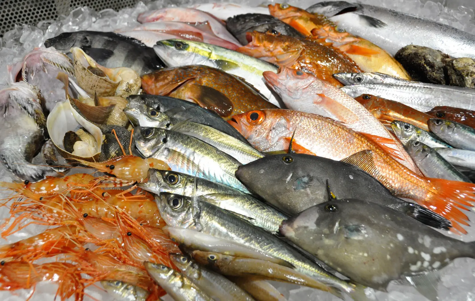 魚の駅「生地」　とれたて館　できたて館-6