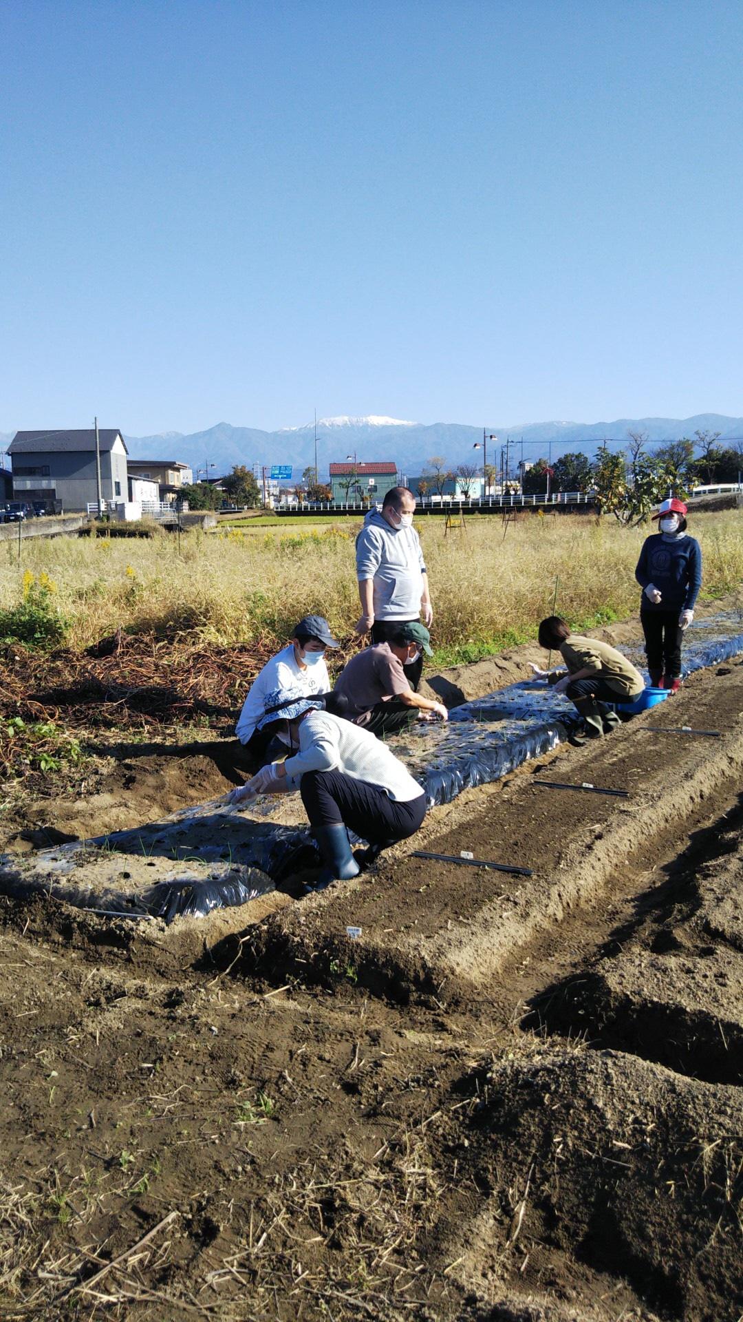 結い（田中さんちの直売所）-6